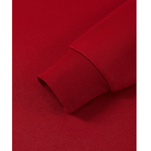 Sweatshirts d'hiver pour hommes de haute qualité, respirants, en molleton personnalisé, 100% coton, coupe ample, uni, teinture unie, ourlet côtelé - Product Image 3