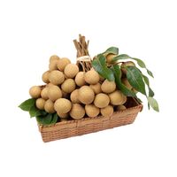 Premium kwaliteit Vietnamese verse longan - zoet tropisch fruit voor export, verpakt in plastic zakken (2-12kg), 2 weken houdbaarheid