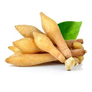Raíz de Dedo Exótica del Sudeste Asiático para Importadores de Especias y Creadores de Comida - Product Image 1