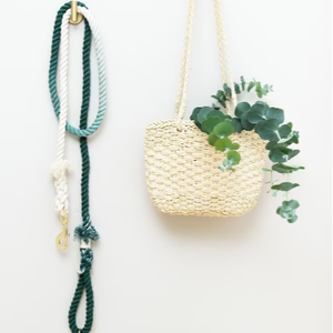 Ombre Green Cotton Rope <b>Leash</b> - Wild Meadows - Color of the Year Emerald Green - Gift for Her - Dog Accessory - Dog Lover - Wedd - Product Image 1