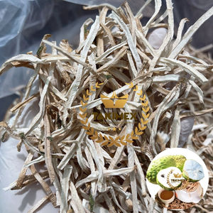 Thé de viande au corossol séché pur de très bonne qualité Graviola Meat Making Tea Logo personnalisé Quantité en vrac pour l'exportation au Vietnam - Product Image 1