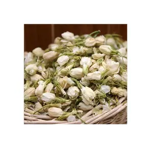 Tisane à fleurs séchées naturelles Bourgeon de jasmin séché Le jasmin séché sent le jasmin prêt à exporter