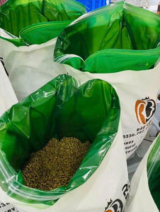 HANCOFFEE Vietnam 2025-2026 Crops Robusta Green Coffee Beans Best Price Grade 123 Size 14-18 Unroasted Raw Coffee Bean - Product Image 3