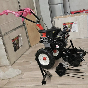 Mini tracteur à pied 12HP de main de ferme de définition de deux roues à vendre - Product Image 1