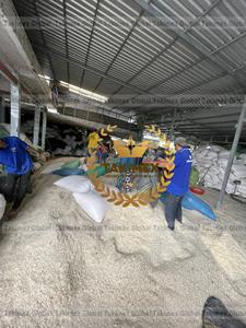 Écailles de poisson séchées de qualité supérieure pour l'extraction de collagène et la production de gélatine - Product Image 3