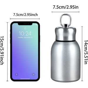 SilverJet Insulated Water <b>Bottle</b> 10 Oz Stainless Steel Vacuum <b>Flask</b> Thermal Reusable For Outdoor Travel Gym Office Gift - Product Image 5