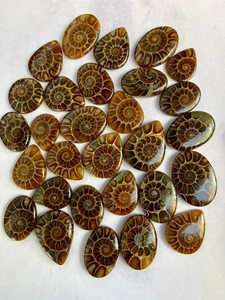 Ammonite, pierre précieuse, cabochon, pierre naturelle polie pour la fabrication de bijoux et cadeaux, jeu de couleurs bleu feu - Product Image 2