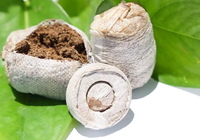 Granulés de tourbe de coco de 42 mm fabriqués au Vietnam, granulés de coco Jiffy