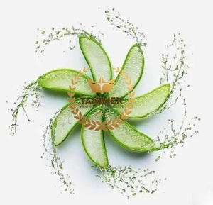 Aloe Vera natural de alta calidad 100% de Vietnam para alimentos y belleza/Aloe Vera puro para gelatina y pudín - Product Image 2