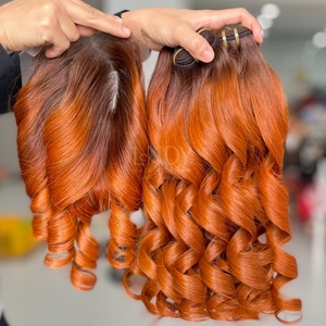 Extensions de cheveux humains vietnamiens de qualité supérieure, prix avantageux, cheveux raides et volumineux, couleur ombrée, ensemble de mèches avec fermeture, 2025 - Product Image 1