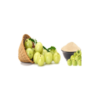 Wild Organic Natuurlijk Amla Fruitpoeder Hanuman Traders Top Kwaliteit Zijdezacht Verfrissend Haarconditioner Extract