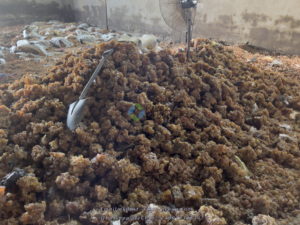 Polvo de goma árabe de Sudán puro de primera calidad, polvo de Acacia procesado de China, precio de goma árabe para productos agrícolas, polvo de goma de Acacia - Product Image 4