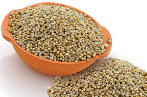 Millet vert pour l'alimentation animale disponible en Inde pour l'exportation - Product Image 6