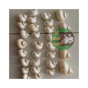 SERVILLETA SEASHELL NATURAL DE CALIDAD PREMIUM HECHO A MANO DE VIETNAM PRODUCTO PARA LA DECORACIÓN DEL HOGAR - Product Image 1