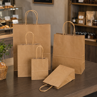 Sac en papier kraft de luxe écologique personnalisable avec poignée torsadée pour bouteilles de vin, magasins d'alcool et aliments gastronomiques, support renforcé
