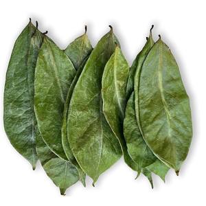 El precio más barato, hojas secas de Graviola con hoja de Guanábana seca de excelente calidad de Vietnam para exportación - Product Image 1