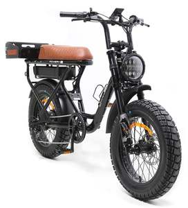 Bicicleta Eléctrica Moderna de Estilo Vintage Rover de Alta Calidad, 750W Gen 3 - Product Image 1
