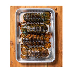 Colas de Langosta Congeladas Premium Proceso BQF 12cm Paquete de 10kg Origen Portugal - Product Image 5