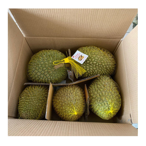 PRIX BON MARCHÉ ET GRANDE QUALITÉ, 100% NATUREL, LES BARRES DE CHOCOLAT DURIAN EST LE MEILLEUR POUR VOUS, ASSURER L'ORIGINE AU VIETNAM - Product Image 5