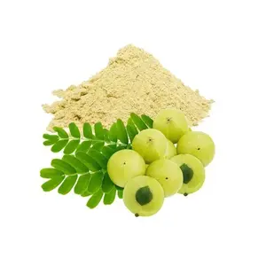 Cao cấp Garde Amla Chiết xuất với tinh khiết tự nhiên làm cho đa mục đích sử dụng Amla chiết xuất Sản xuất tại Ấn Độ