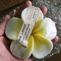 2024 Nouvel An Cadeau Valentine Coffret Cadeau Huile De Noix De Coco Fleur Savon 100g Plumeria Fleur Parfum Produit de Thaïlande