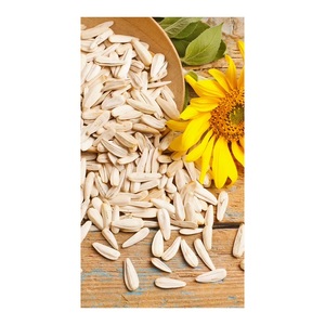 Graines de tournesol en vrac, prix de gros, qualité supérieure, collation économique - Product Image 1