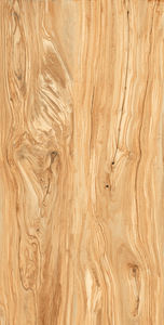 Carreaux de porcelaine modernes résistants à l'usure, aux acides et antibactériens, fabriqués en Inde pour salles de séminaire - Product Image 4