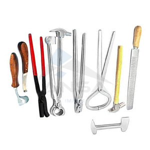 Outil de maréchal-ferrant vétérinaire de qualité professionnelle ensemble de soins de sabot réutilisable comprend tondeuse, pince, râpe extracteur de chaussure toilettage - Product Image 3