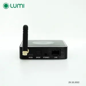 Lumi Smart Multiroom-Audio in Smart Home Wifi Wireless Arbeiten Sie mit dem Google Home Voice-Mehrraum-Audio empfänger