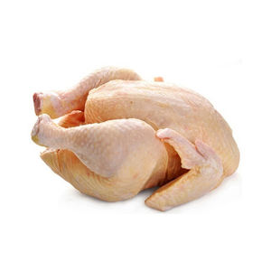 Dindes entières halal congelées biologiques de haute qualité en vrac pour la vente en gros - Product Image 5