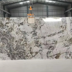 Grande surface polie de style de conception moderne de granit d'Azul Nova - Product Image 1