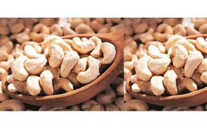 เม็ดมะม่วงหิมพานต์ออร์แกนิคดิบคุณภาพสูง รสอร่อย ไม่มีเปลือก ขายส่ง - Product Image 5