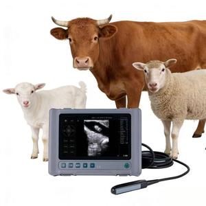 Draagbare digitale veeartsenij-echografieapparaat met LCD-scherm, volledig digitale echografie-scanner voor veterinair gebruik, ziekenhuisapparatuur - Product Image 1
