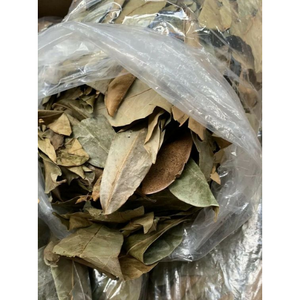 ใบทุเรียนเทศแห้งธรรมชาติ, guanabana, ชาผู้หญิง, สมุนไพรธรรมชาติผสม, 100% ใบ guanabana ทุเรียนเทศธรรมชาติ - Product Image 4