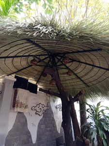 Cubierta de Techo de Hoja de Palma de Vietnam para Villa Tropical - Product Image 6