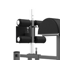 Offre Spéciale : Appareil Commercial de Musculation des Fessiers, Équipement d'Entraînement pour Jambes et Hanches FW-2029