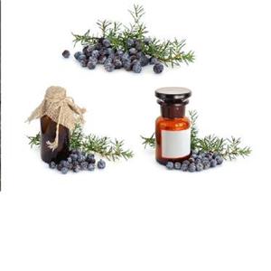 Huile essentielle de baies de genièvre au prix de gros exportateur d'huile essentielle de baies de genièvre fournisseur d'huile essentielle de baies de genièvre - Product Image 4