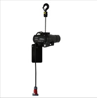 Palans électriques de scène 250 kg, moteurs à chaîne pour treillis, étanches IP66, palans électriques à chaîne auto-grimpants pour scène