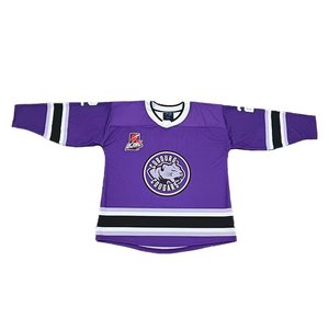 Uniformes de hockey sur glace personnalisés : maillots d'entraînement et sweats à capuche d'équipe personnalisés - Product Image 2