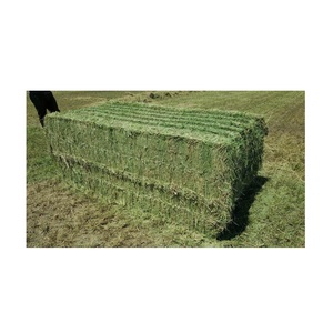 Foin de luzerne en vrac-Aliments pour animaux-20kg/40kg/50kg balles - Product Image 6