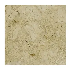 Premium Travera Marble Slab in Custom Sizes, Natural Stone Travera Marble Slab, Wholesale Travera Marble Slab