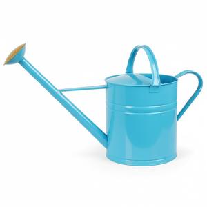 Arrosoir en métal finition crème, prix de vente élevé pour les plantes d'intérieur et d'extérieur, plantes de jardin, pulvérisation d'eau pour pot - Product Image 4