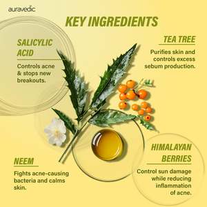 Crema Facial Herbal con Ácido Salicílico para Uso Doméstico - Kit de Cuidado de la Piel (Vegano y con Colágeno) - Product Image 5