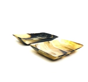 Natural Buffalo Horn Serving <b>Tray</b> High Quality - Product Image 3