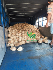 Noix de coco semi-décortiquée de haute qualité fabriquée par VIET THIEN PHU du VIET NAM-Produit chaud sain Prix bon marché - Product Image 6