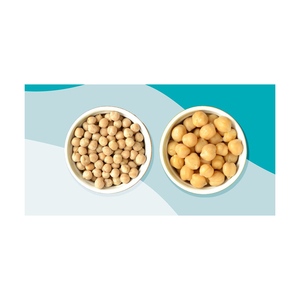 Vente en gros de pois chiches biologiques en vrac naturels sains et de bonne qualité sans OGM de haute qualité pois chiches Kabuli crus séchés - Product Image 2