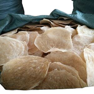 กางเกงว่ายน้ำขาเดียวปลาแห้งมุม2023ใหม่ - Product Image 5