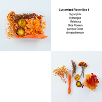 Konservierte Blumen-Materialbox Gemischte Mini-Trockenblumen Epoxidharz Nagelkunst Schmuck DIY Handwerk Großpackung Valentinstag