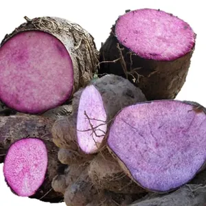 Qualidade Premium Frozen Purple Yams de fornecedores do Vietnã a preço acessível de exportação