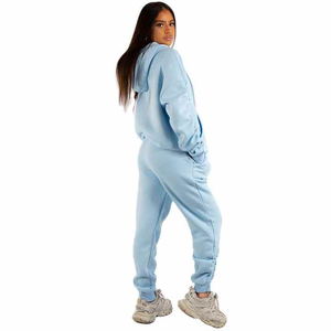 Conjunto de Dos Piezas, Sudadera Larga Lisa, Conjunto Deportivo para Mujer, Chándal de Gimnasio con Logotipo Personalizado, Marca Privada - Product Image 2